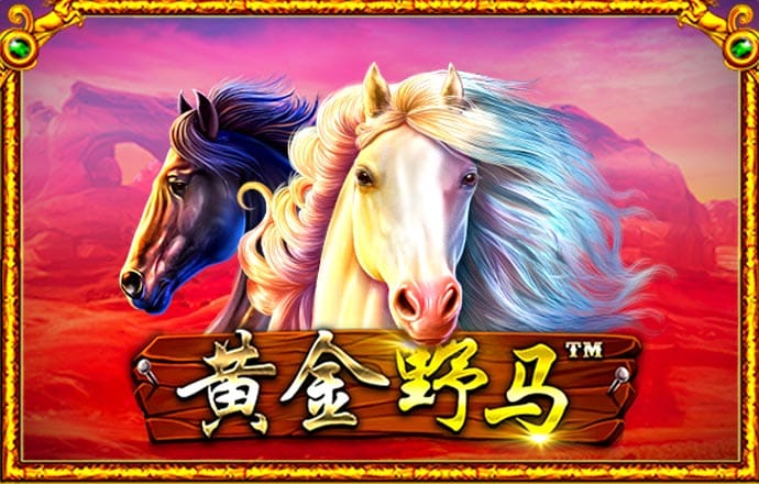 304am永利